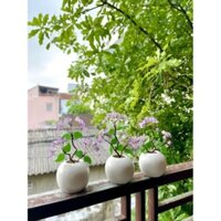 Cây Thạch Anh Tím