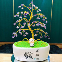 Cây Thạch Anh Trung (SỬU) Nghệ Thuật Mẫu Khác Nhau Phụ Thuộc Theo Sở Thích Từng Khách Hàng Trang Trí KHông Gian Nhà Bạn