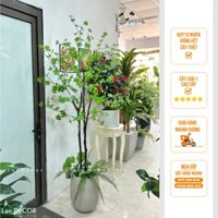 Cây thạch nam giả - Cây giả trang trí nội thất phòng khách, văn phòng đẹp tự nhiên, giống hệt cây thật (TẶNG GIỎ CÓI))