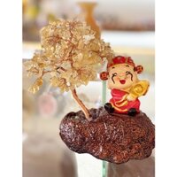 Cây thần tài đỏ