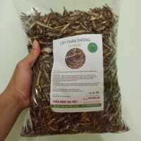 Cây Thần Thông (dây cóc, dây ký ninh) (1kg) - DL120