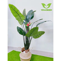 Cây thiên điểu giả - Thiên điểu cảnh giả decor trang trí hàng cao cấp (chưa chậu), cây lớn 2m5