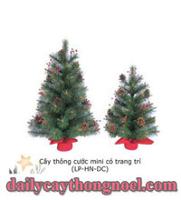 Cây thông cước mini có trang trí 60cm