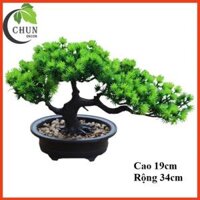 Cây thông giả, chậu cây bonsai cao 19-26cm  để bàn, trang trí kệ, bàn làm việc tủ độc đáo