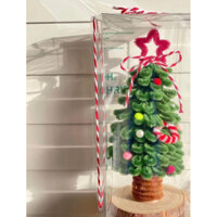 cây thông kẽm nhung