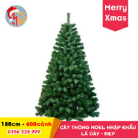 Cây Thông Noel 180cm Giá Rẻ