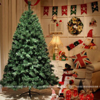 Cây Thông Noel 1m5, 1m8, 2m1 -Tán Dầy  Cây Thông Noel Siêu Đẹp