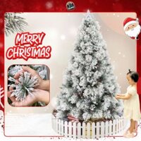 Cây Thông Noel 1m8 2m1 2m4 3 Loại Lá Phủ Tuyết Gắn Trái Thông Tự Động Tặng Sợi Kim Tuyến Ngôi Sao Đế Giấy Trang Trí