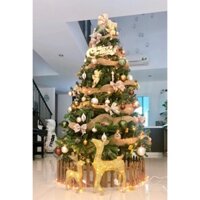 Cây Thông Noel 1m8 Full Phụ Kiện - Cây Thông Noel 1m6