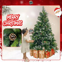 Cây thông Noel 1m8 phun sơn 3 loại lá gắn trái thông cây treo trang trí giáng sinh noel