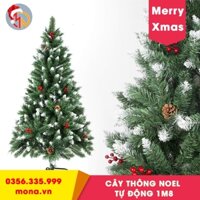 Cây Thông Noel 1m8 Tự Động - Đầu Phủ Tuyết Kèm Quả Thông Và Quả Đỏ