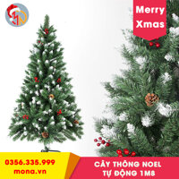 Cây Thông Noel 1m8 Tự Động