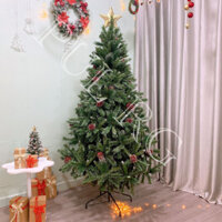 Cây thông noel 2M 2M1 1M8 3 LOẠI LÁ GẮN TRÁI THÔNG trang trí decor giáng sinh trong nhà ngoài trời LP-3LLQC
