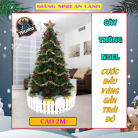 Cây thông noel 2m mẫu cước đầu vàng gắn trái đỏ trang trí phòng khách, phòng ngủ mùa giáng sinh kèm ngôi sao đỉnh