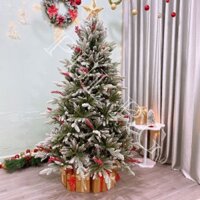 Cây thông noel 2M PE PHỦ TUYẾT GẮN TRÁI ĐỎ decor trang trí giáng sinh trong nhà ngoài đời