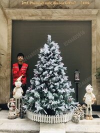 Cây thông noel 2m Phủ tuyết Cước đầu loa GHN 6.6