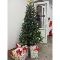 Cây thông noel- 2M+ quà và đèn tráng trí