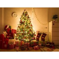 Cây Thông Noel 2m1, 1m8, 1m5, Full Phụ Kiện Trang Trí - Cây Thông Xanh Hàng Việt Nam Cao Cấp