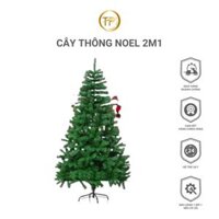 Cây Thông Noel 2m1