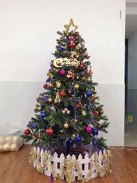 Cây Thông Noel 3 Loại Lá Gắn Trái Thông Cao 1M8 Tặng 4 Dây Kim Tuyến + 1 Ngôi Sao + Đế Giấy Trang Trí