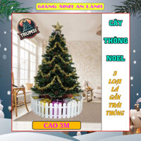 Cây Thông Noel 3m 3 Loại Lá Gắn Trái Thông Tặng 8 Dây Kim Tuyến 1 Ngôi Sao Trang Trí Giáng Sinh