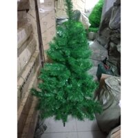 Cây Thông Noel Cao 1.2m, Tán Rộng, Dày