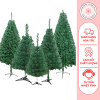 Cây Thông Noel Cao 1.2m, Tán Rộng, Dày Decor Trong Nhà, Quán Cafe, Trà Sữa...Trang Trí Ngọc Minh