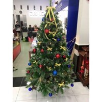 Cây Thông Noel Cao 2m1, Cây Thông Lá Dày Loại Đẹp