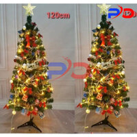 Cây thông noel, cây thông mini để bàn, cây thông xanh 1m2 1m5 1m8 nhiều tán lá loại 1 kèm phụ kiện tặng đèn led cao cấp