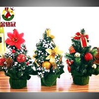Cây thông noel Đào Nhanh