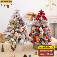 Cây Thông Noel Mini 50cm ZenBabe Lung Linh Rực Rỡ, Tạo Nên Không Gian Giáng Sinh Ấm Áp