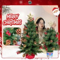 Cây Thông Noel Mini 60cm 75cm Để Bàn Cước Đầu Vàng Có Trang Trí Đế Ly Trang Trí Giáng Sinh