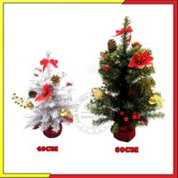 Cây Thông Noel Mini Để Bàn Màu Trắng Và Xanh Trang Trí Đế Nhựa Bọc Vải Đỏ
