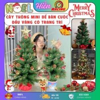 Cây thông noel mini để bàn CƯỚC ĐẦU VÀNG CÓ TRANG TRÍ 60cm, 75cm - ĐẾ LY trang trí giáng sinh