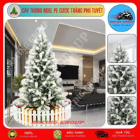 Cây Thông Noel PE Cước Trắng Phủ Tuyết 1M5 1M8 2M1 2M4 Hàng VN Cao Cấp Trang Trí Decor Giáng Sinh