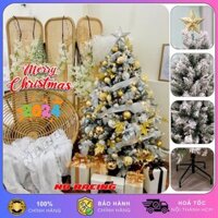 Cây Thông Noel Phủ Tuyết A4 Cao 1M2 1M5 1M8 2M 2M1 Decor Trang Trí Giáng Sinh Noel Cao Cấp Văn Phòng