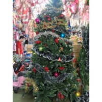 Cây thông noel từ 1.2m- 2.4m