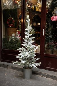 .Cây thông tuyết cao cấp châu Âu đỉnh thưa & nhọn 150cm TẶNG chậu xô nhôm