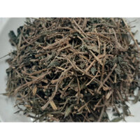 Cây thuốc dòi ( Cây dòi tím - Cây bọ mắm) - Giúp Thanh Nhiệt, Ho, Đau Họng - Gói 1kg