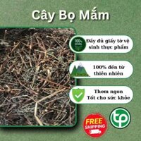 Cây thuố.c dòi tím - cây dòi tím - bọ mắm - hàng khô - Thảo dược Tấn Phát