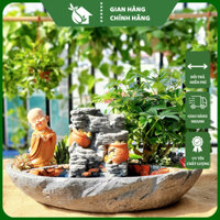Cây Tiểu Cảnh Bể Bán Cạn – Vườn Decor