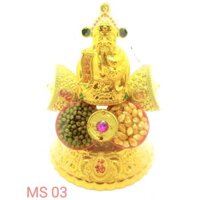 CÂY TỎI, THẦN TÀI . CÂY TỎI ĐẬU TÀI LỘC