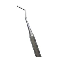 Cây trám – 1409 Likima