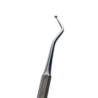 Cây trám – 1419 Likima