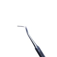 Cây trám – 1426 Likima