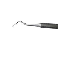 Cây trám – 1448 Likima