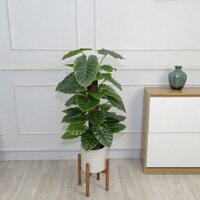 Cây Trầu Bà Leo Cột Giả Cây Cảnh Trang Trí Không Gian Xanh [95cm]