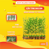 Cây Tre Trúc ,Cây Tre Giả ,Trang Trí Cây Cảnh Decor Phòng Khách