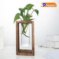 Cây trồng thủy tinh Terrarium Hoa hiện đại Bình hoa có giá đỡ