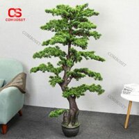 Cây Tùng Bonsai Giả Nghệ Thuật Trang Trí Nội Thất Cao Cấp